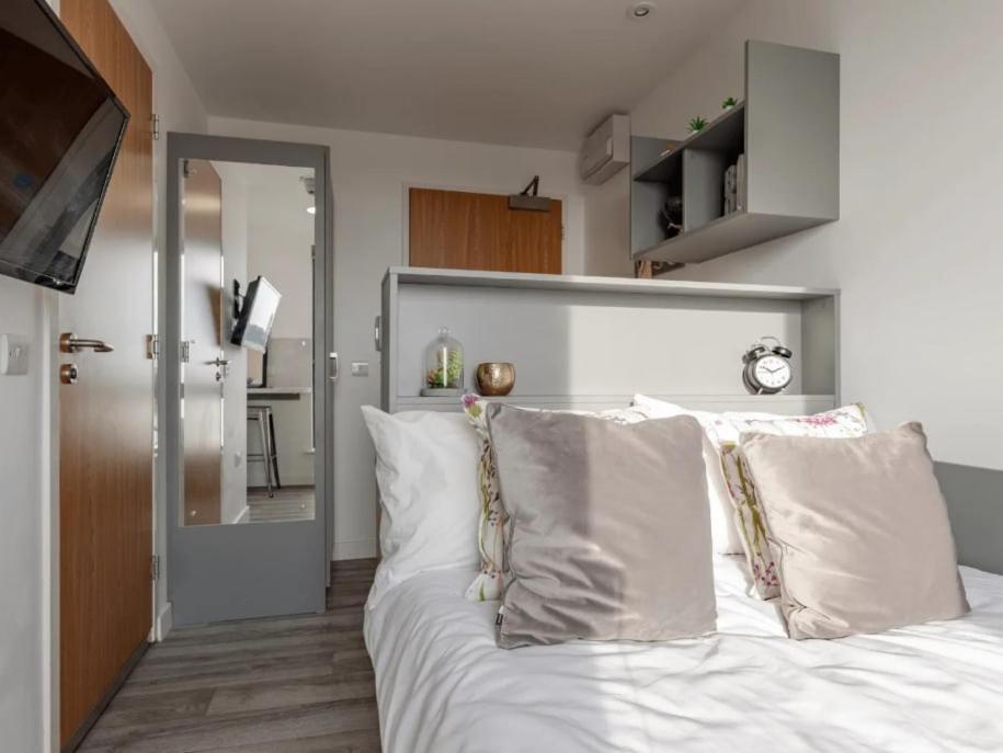 Apartment For Students Only Cosy And Private Ensuites At Oldway Centre In Swansea
