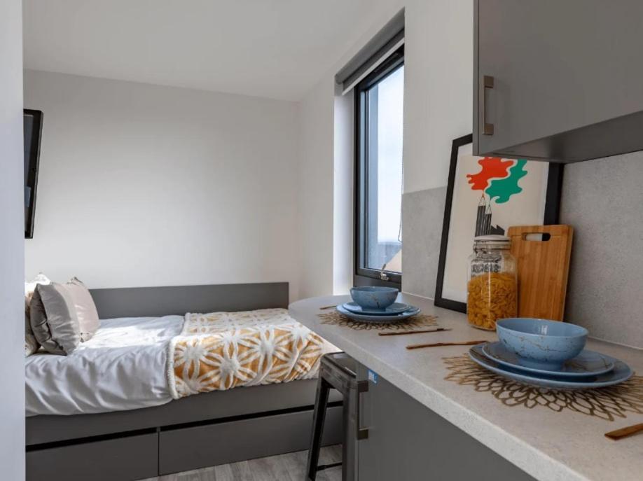 Apartment For Students Only Cosy And Private Ensuites At Oldway Centre In Swansea